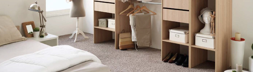 Shoe Cabinets